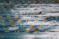 Auf allen Bahnen geben die Athleten ihr Bestes und schwimmen um Medaillen und Siegerschleifen. (Foto: SOD/Stefan Holtzem)