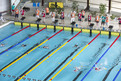 Die Schwimmer tragen ihre Wettbewerbe im Stadionbad im Sportpark Hannover aus. (Foto: SOD/Florian Conrads)