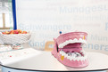 Anschaaungsmittel zum Verständnis der Zahnpflege. (Foto: SOD/Stefan Holtzem)