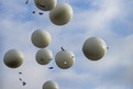 Abschlussfeier: 16 Ballons, die für die 16 Bundesländer stehen, mit Wünschen um Weltspiele 2023 in Deutschland wurden bei der Abschlussfeier der Special Olympics Kiel 2018 steigen gelassen. (Foto: SOD/Sarah Rauch)