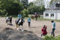 Training und ausprobieren der Pferde (Foto: SOD/Jörg Brüggemann OSTKREUZ)
